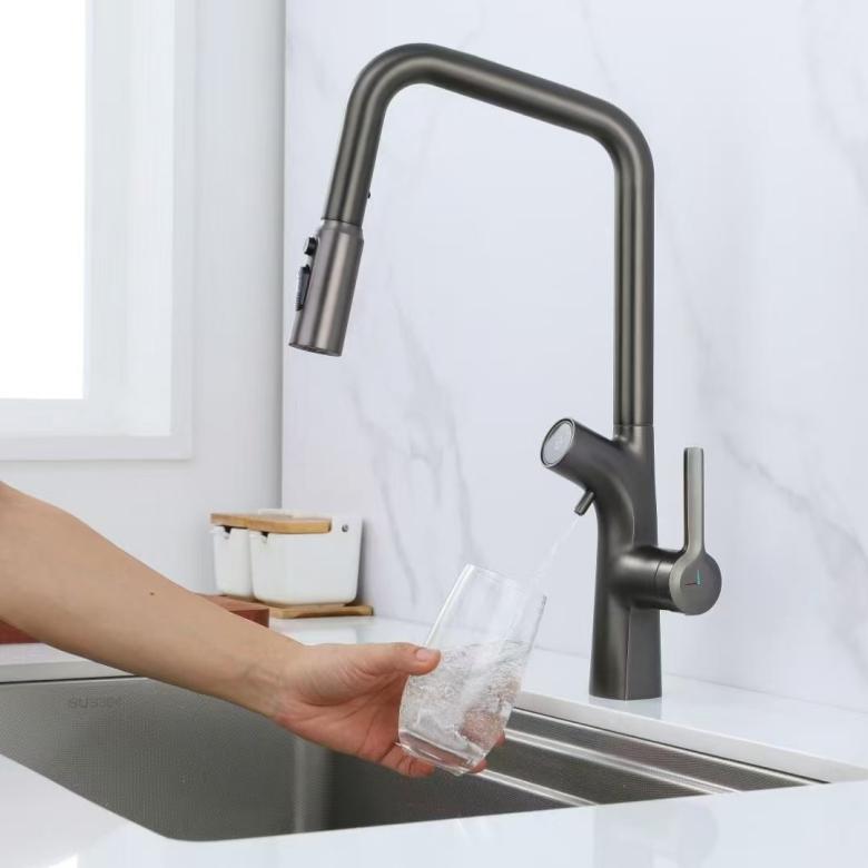 Digital Display Pull-Out Faucet with Built-in Water Purifier