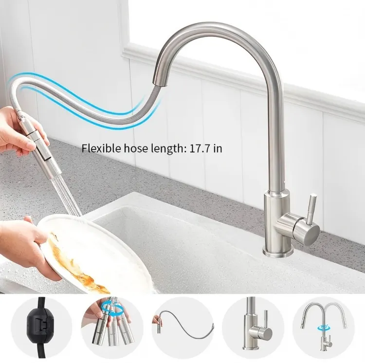 Intemerata coquina Faucet